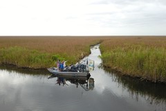 Create Listing: Private Airboat Adventure