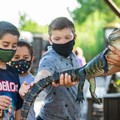 Create Listing: Sawgrass Reptile Exhibit Private Tour