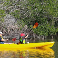 Create Listing: Kayak Rentals - Single & Double Sit-On-Top Kayaks