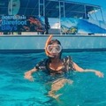 Create Listing: Seabreeze Dolphin & Snorkel Tour - 3.5 Hours