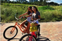 Create Listing: South Beach Bicycle Rental - Ages 9+ to Participate