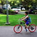 Create Listing: Children's South Beach Bicycle Rental - Ages 5 to 8