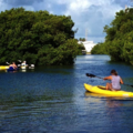 Create Listing: 3  1/2 Hour Kayak & Backcountry Snorkel Tour 