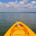 Create Listing: The Gilligan Kayak Tour - 3 Hours • All Ages up to 6 People