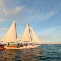 Create Listing: Full Day Premium Sail, Snorkel, Kayak with Lunch - 6.5 Hours