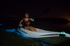 Create Listing: Bioluminescence Kayak Tour