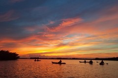 Create Listing: Sunset/Bioluminescence Kayak Tour