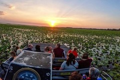 Create Listing: 1 Hour Airboat Tour - All Ages 
