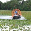 Create Listing: VIP Private Half Hour Airboat Tour - All Ages Welcome
