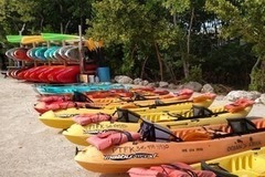 Create Listing: Kayak and Paddleboard Rentals (6 days)