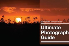 Create Listing: Self Driving Everglades Photography Guide