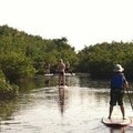 Create Listing: Paddle Board Rentals