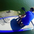 Create Listing: Mucho Manatee Experience - Paddle Board & Kayak