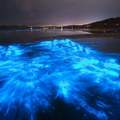 Create Listing: Bioluminescence Comb Jelly Night Tour - Paddle Board & Kayak
