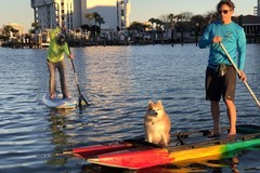Create Listing: Full Day SUP Rental - 8 Hours • All Ages