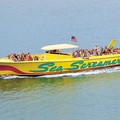 Create Listing: Clearwater Beach Speedboat Adventure w/ Lunch - Ages 3 & Up