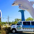 Create Listing: Dolphin Research Center Day Tour