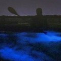 Create Listing: Private Bioluminescence Paddle Tour