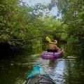 Create Listing: Kayak Rental - Single & Tandem Kayaks Available