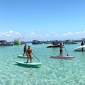 Create Listing: Guided Paddleboard Tour - 2 Hours • All Ages