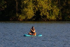 Create Listing: Guided Paddleboard Mangrove Tunnel Tour - 2hrs