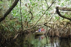 Create Listing: Private Everglades National Park Guided Kayak Eco Tour- 3hrs