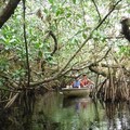 Create Listing: Private Everglades National Park Guided Kayak Eco Tour- 3hrs