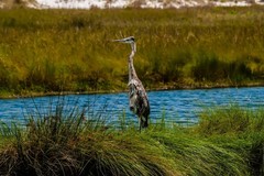 Create Listing: Everglades National Park Sea Kayak Tour - 6hrs