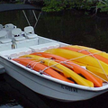Create Listing: Boat Assisted Kayak Eco Tour-Everglades National Park-3.5hrs