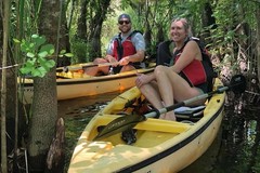 Create Listing: Private Mangrove Tunnel Kayak Eco Tour- 3hrs