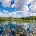 Create Listing: Depart from MIA to the Everglades  Airboat tour - 4hrs