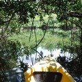 Create Listing: Private Everglades National Park Guided Kayak Eco Tour 