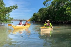 Create Listing: Private Orchids & Alligators Kayak Eco Tour - 3 Hours 