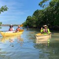 Create Listing: Private Orchids & Alligators Kayak Eco Tour - 3 Hours 