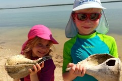 Create Listing: Family Fun Boating, Shelling, and Fishing Trip - 4 Hours
