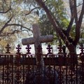 Create Listing: Charleston Ghost Tour - 1.5 Hours