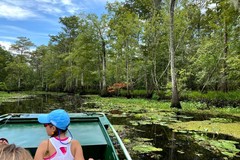 Create Listing: Beyond the Bayou Swamp Boat Tour - 2hrs