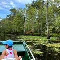 Create Listing: Beyond the Bayou Swamp Boat Tour - 2hrs