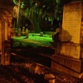 Create Listing: The Charleston Ghost and Graveyard Tour - 1.5 Hours