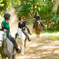 Create Listing: Historic Trail Ride - Ages 8+ • No Experience Necessary