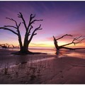 Create Listing: Boneyard Beach Sunrise Adventure 