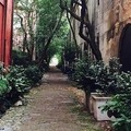 Create Listing: Charleston's Alleys and Hidden Passages - 2 Hours