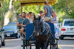 Create Listing: Group Carriage Tours - Up to 16 People • Ages 4+