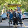 Create Listing: Group Carriage Tours - Up to 16 People • Ages 4+