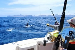 Create Listing: Saltwater Sportfishing | 4 or 8 hrs | 75' Hattaras