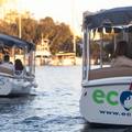 Create Listing: Boat Tour: Intracoastal, New River, Canals | 2hr | 6ppl max