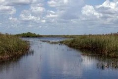 Create Listing: Full Day Tour: Dry Hike & Everglades Adventure 