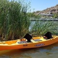 Create Listing: Hard Kayak Rental - Two Person- 9hrs