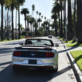 Create Listing: VIP Mustang Grand Tour (5 hours)