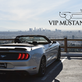 Create Listing: VIP Mustang Celebrity Tour (2 hours)